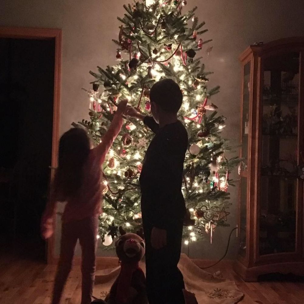 Meet your Posher, Holly